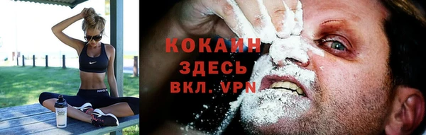 твердый Горно-Алтайск