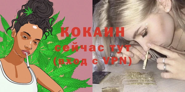 твердый Горно-Алтайск