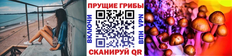 купить наркотики цена  Духовщина  Псилоцибиновые грибы Magic Shrooms 